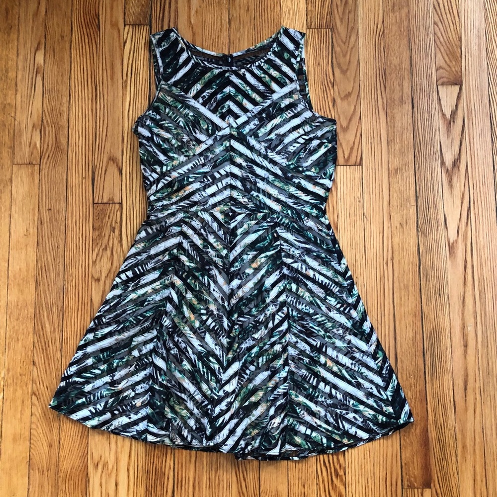 Parker Printed Sleeveless Fit and Flare Dress